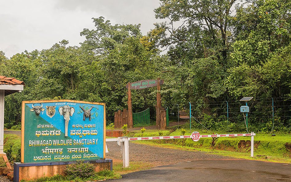 Bhimgad Wildlife Sanctuary, Belagavi (Belgaum), Karnataka - Vushii.com Bhimgad Wildlife Sanctuary, Belagavi (Belgaum), Karnataka - Vushii.com